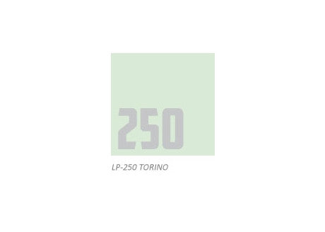 250 - LOOP Spray Paint - Torino
